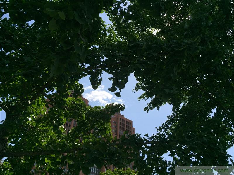 無邊框的 nubia Z9 ，一款既有驚喜，又有驚艷的智能手機