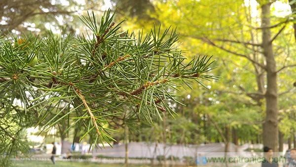 業(yè)界良心 LG V10 評測:剛毅、冷峻，不失人性化