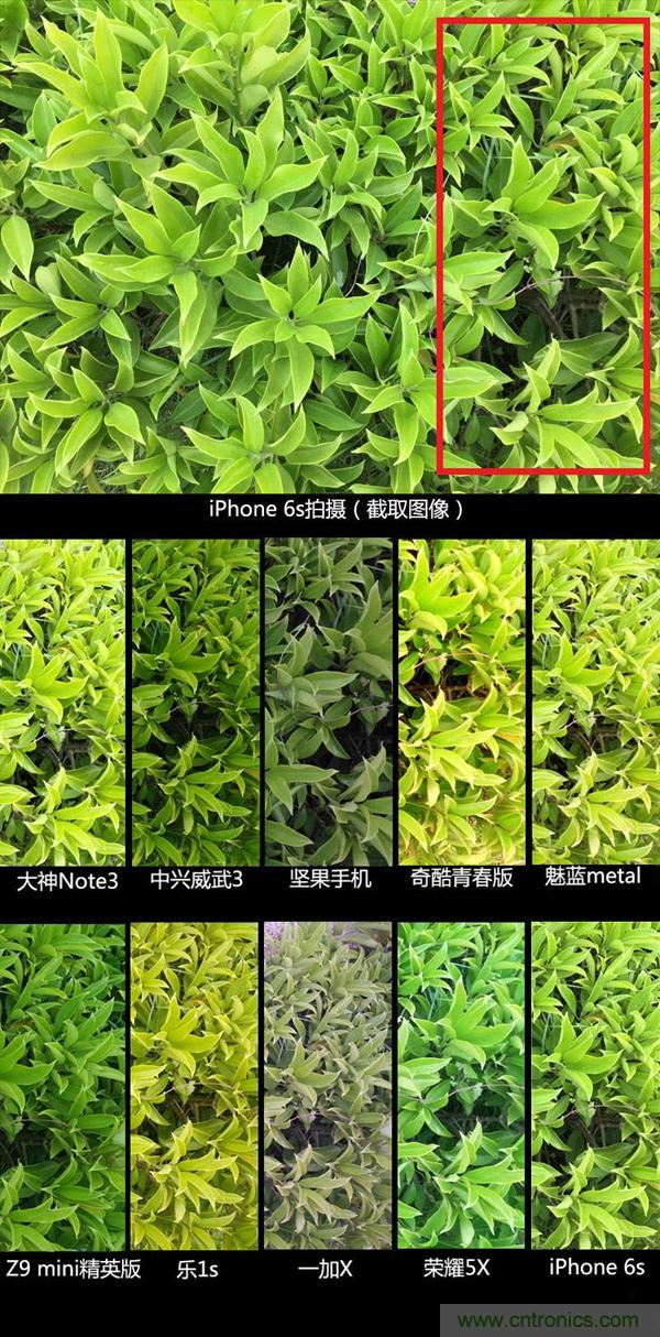 2015年9款千元智能手機橫評：誰才是紅海霸主？