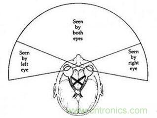 雙目重疊技術(shù)在VR中有什么作用？