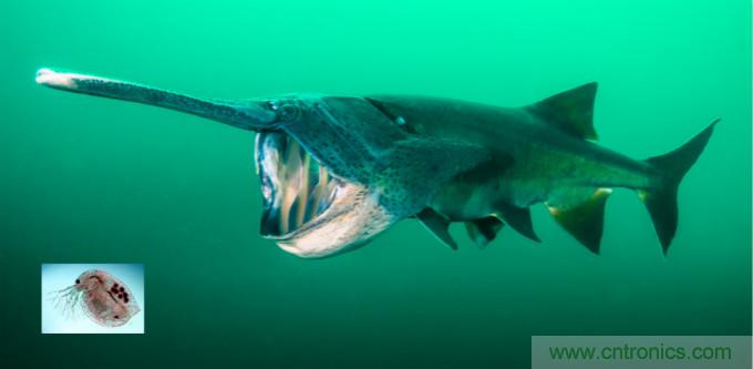 檢測(cè)不到信號(hào)，是加點(diǎn)噪聲？還是濾除噪聲？