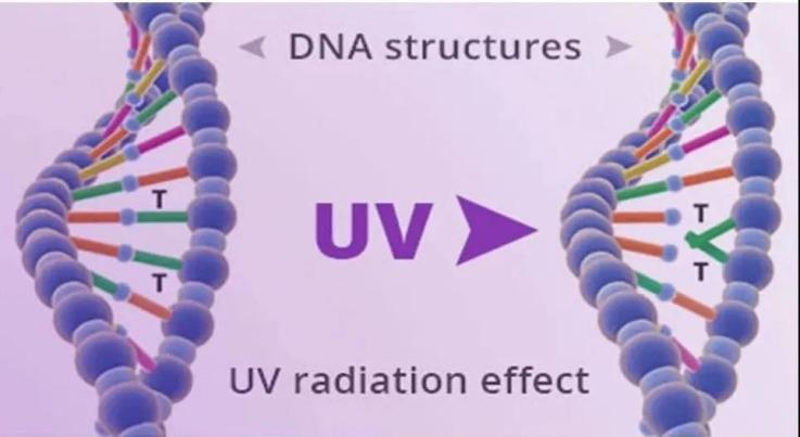 一文掌握UV LED在空凈消殺領(lǐng)域的主要應(yīng)用 一文掌握UV LED在空凈消殺領(lǐng)域的主要應(yīng)用